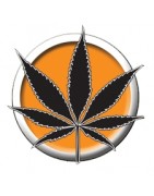 Le Préservatif aromatisés au Cannabis.